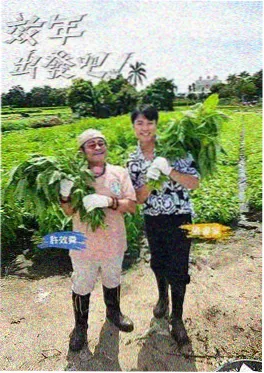 古装悬疑短剧《我在古代当仵作》封面